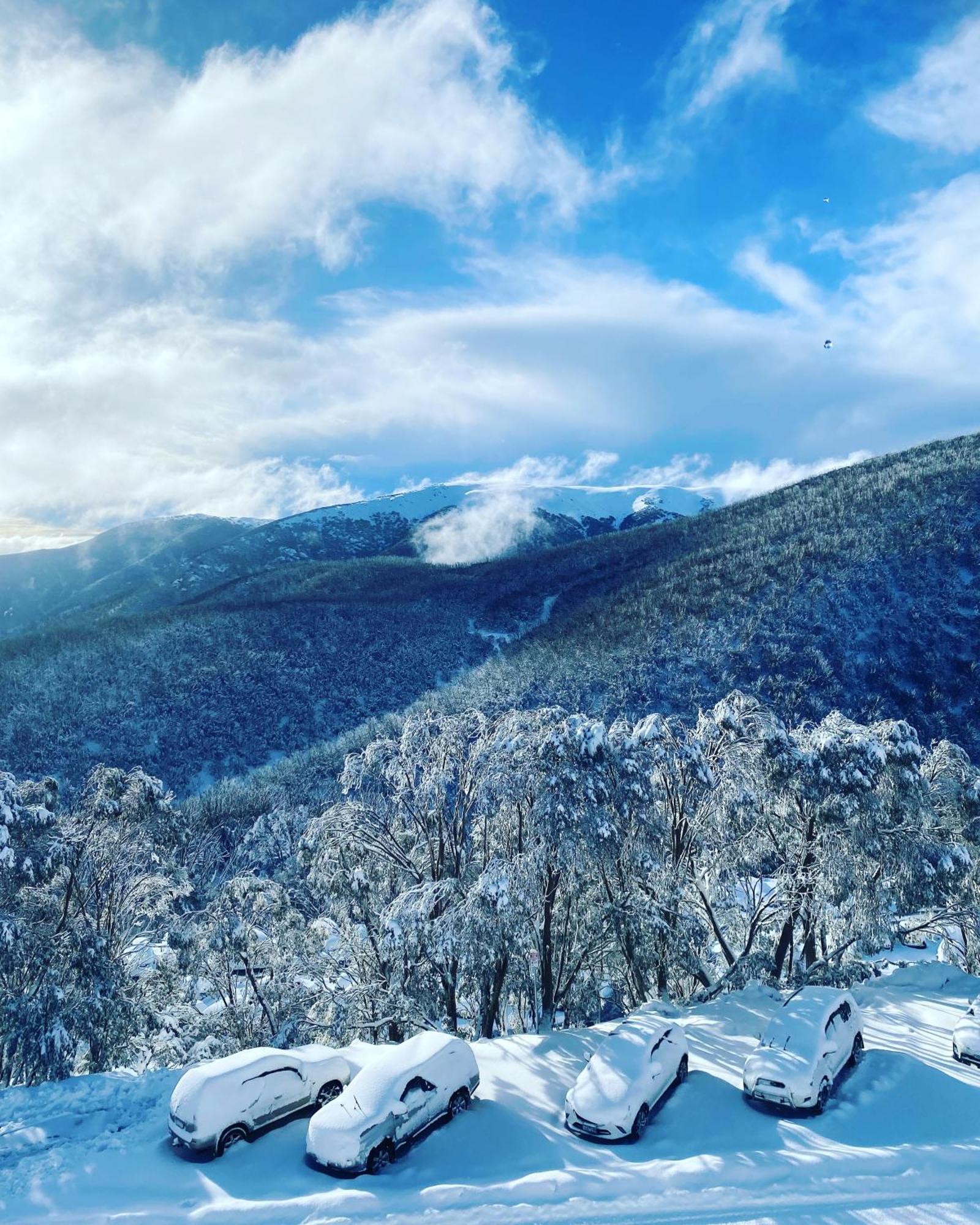 Woodsmoke One Falls Creek Lejlighed Eksteriør billede